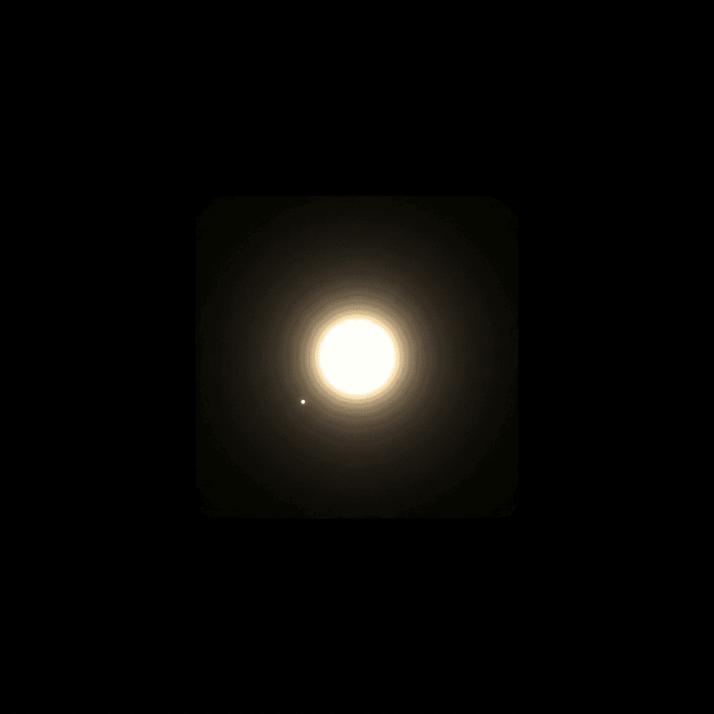 Procyon